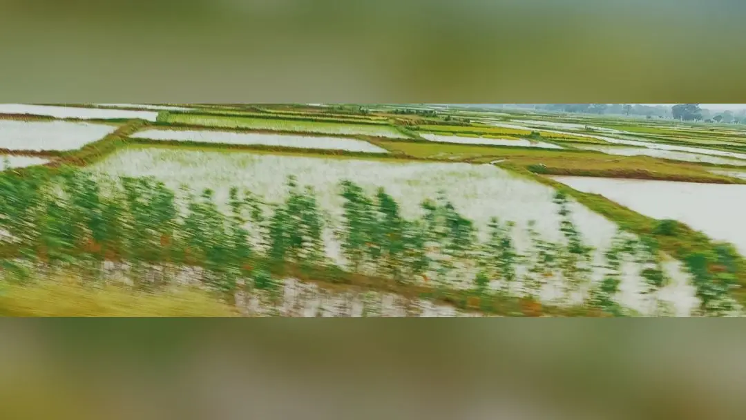 चाईबासा में लगातार बारिश से घरों में घुसा पानी, परेशानी