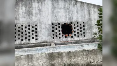 गिद्धौर में करोड़ों की स्वच्छता योजना दम तोड़ रही, डंपिंग यार्ड बदहाल और ई-रिक्शा जंग खा रहे