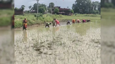औरंगाबाद में फीकी पड़ रही सावन की परंपराएं, झूले, कजरी और मल्हार की गूंज अब बन रही यादें