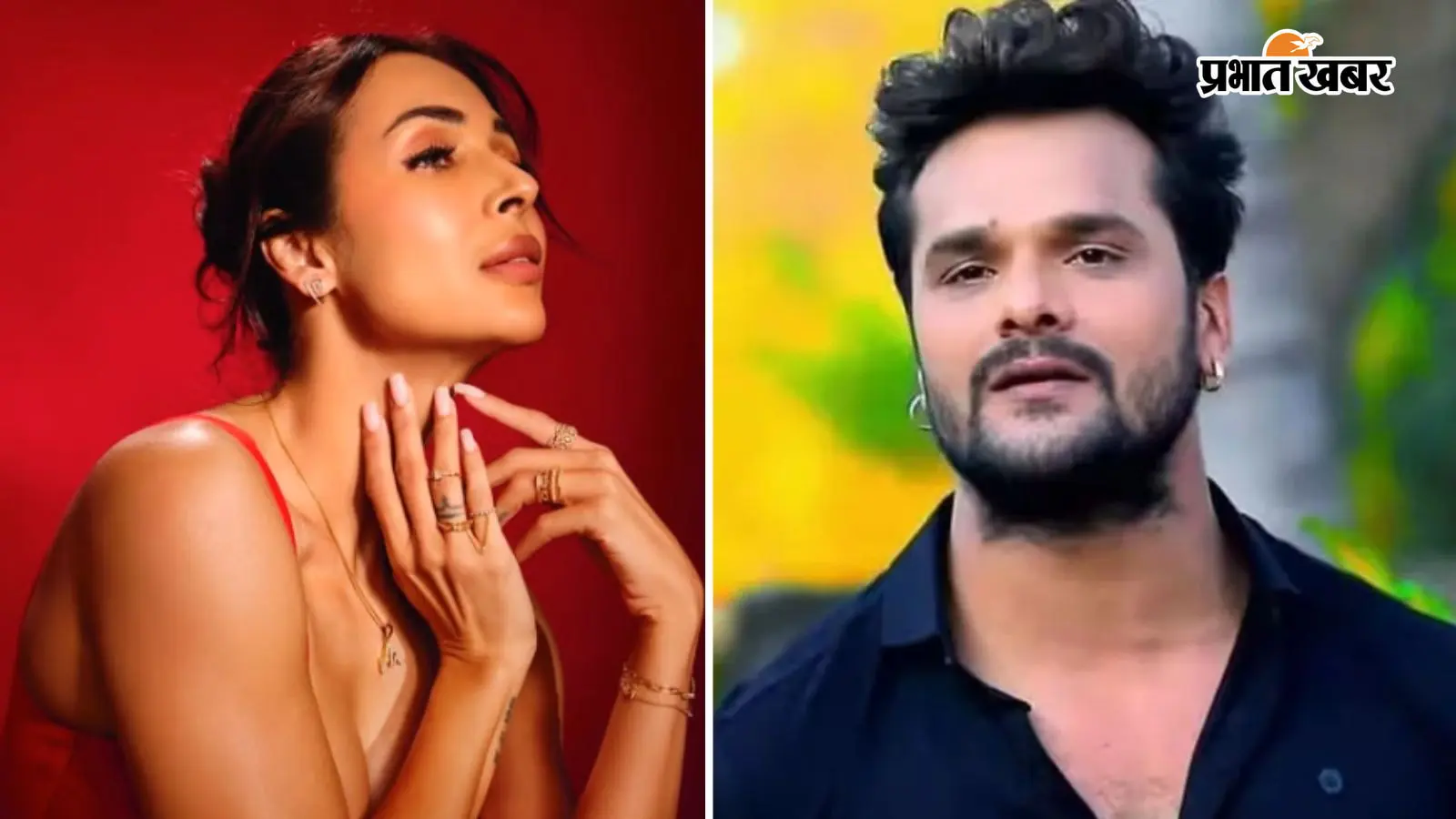 आखिर किस वजह से खेसारी लाल यादव पर भड़कीं मलाइका अरोड़ा? बोलीं- कौन है ये आदमी