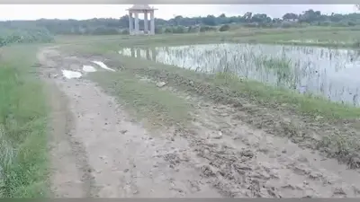 सुहिया हाट से पंचायत सरकार भवन तक की सड़क बदहाल, बरसात में बढ़ी ग्रामीणों की मुश्किलें