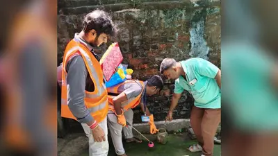 पाकुड़ में डेंगू सर्वे में 728 कंटेनरों की हुई जांच, 64 में मिला एडीज मच्छर का लार्वा