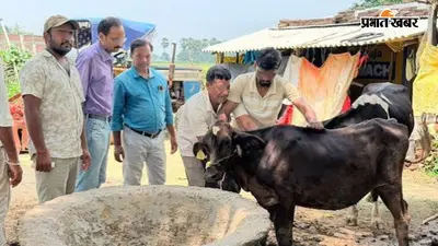 रोहतास में FMD टीकाकरण अभियान पर संकट, 6 लाख का लक्ष्य, अब तक सिर्फ 6 हजार पशुओं को लगी वैक्सीन
