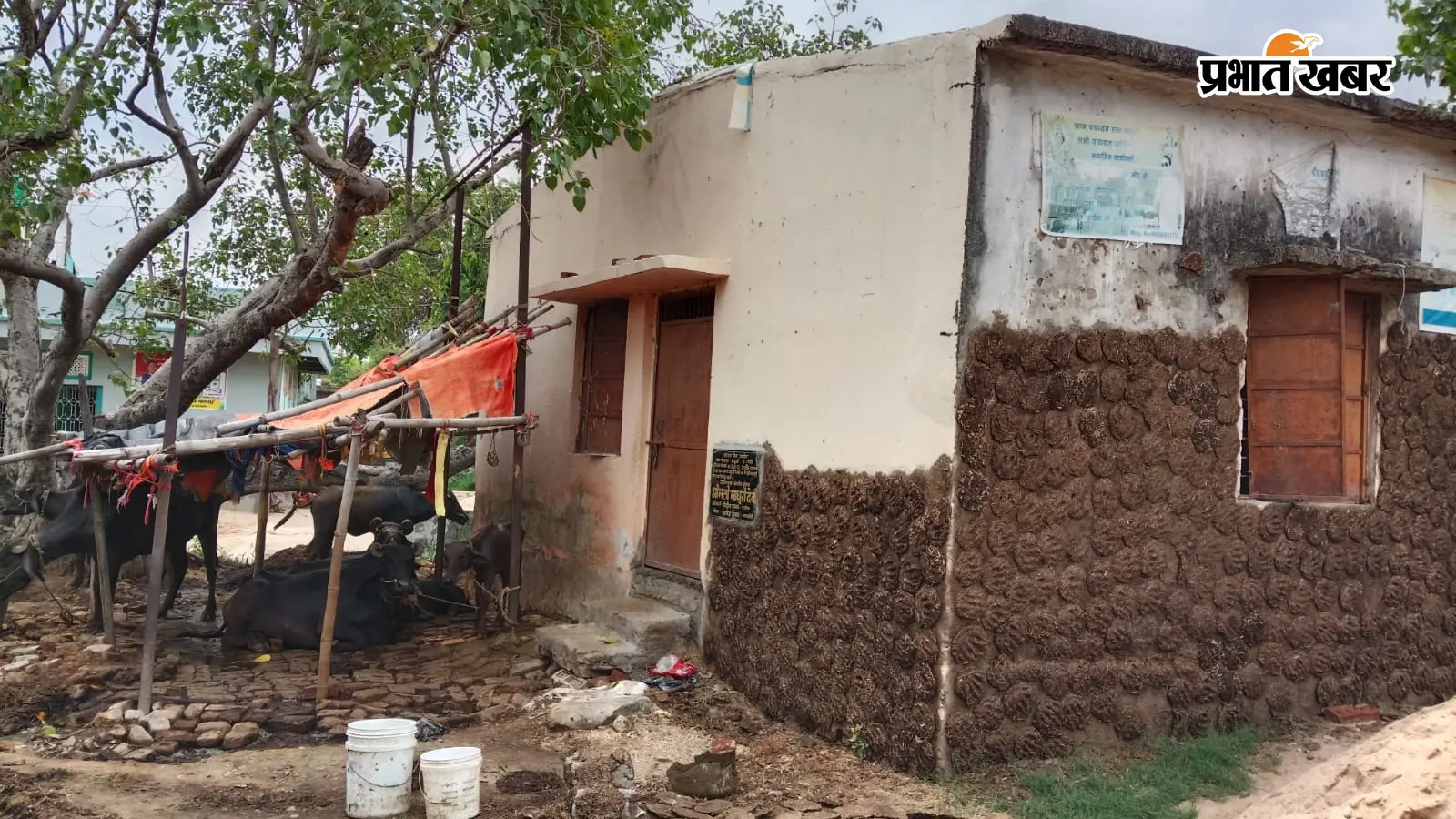 पटना: आंगनबाड़ी केंद्र पर दबंगों का कब्जा, गोशाला में तब्दील हुआ भवन; ग्रामीणों ने की कार्रवाई की मांग