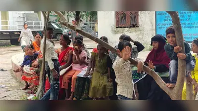 सर्वर डाउन से रजौली में आरटीपीएस सेवाएं ठप, प्रमाण पत्र के लिए दिनभर भटकते रहे लोग