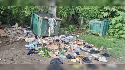 नगर पंचायत के वार्ड 15 में बदहाल हुई सफाई व्यवस्था, थाना कॉलोनी में लगा कचरे का अंबार