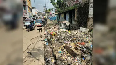 एसडीओ आवास मार्ग के पास कचरे का ढेर, हर माह 35-40 लाख खर्च के बावजूद सफाई व्यवस्था बदहाल
