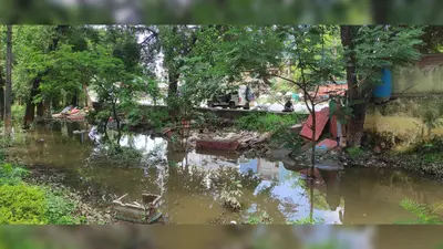 मूसलाधार बारिश में राजगीर नवोदय विद्यालय की चहारदीवारी ध्वस्त, सुरक्षा पर उठे सवाल