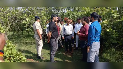 काजू के प्रोसेसिंग प्लांट लगाए जाने से लोगों को मिलेगा रोजगार : डीसी