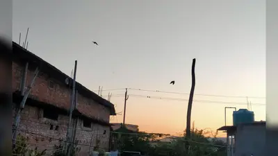 पूर्णिया में सुस्त पड़ा मानसून: आज कड़क धूप के साथ सताएगी उमस भरी गर्मी