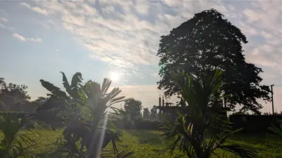 किशनगंज में भीषण उमस से बेहाल लोग: महसूस हो रहा 39°C जैसा तापमान; दोपहर में गरज-चमक के साथ बारिश का अलर्ट