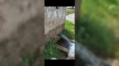 रोहतास: बिजली तार में टोका लगाकर बोरिंग चलाते चार लोगों पर केस दर्ज, विभाग ने लगाया हजारों का जुर्माना