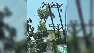 दाउदवाट में झुका 33 हजार वोल्ट का पोल, आज सुबह 10 बजे से 5 घंटे तक बंद रहेगी बिजली आपूर्ति