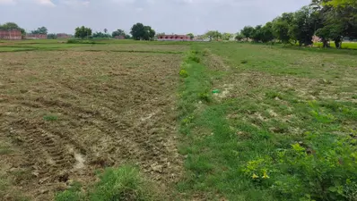 चैनपुर में बारिश नहीं होने से धान की रोपनी प्रभावित, खेत सूखे तो किसानों की बढ़ी चिंता