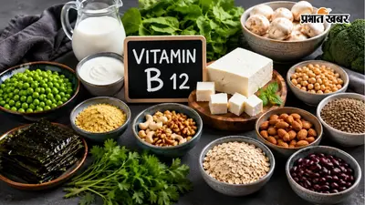 शरीर में Vitamin B12 की कमी? डाइट में शामिल करें ये शाकाहारी फूड्स, थकान और कमजोरी से मिलेगी राहत