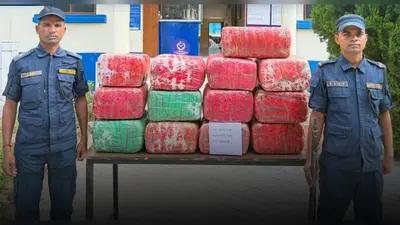 भारत-नेपाल बॉर्डर के पास बागान में छिपाकर रखा था 140 किलो गांजा, पुलिस जांच में जुटी