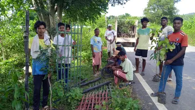गालूडीह-नरसिंहपुर सड़क किनारे लगाये जा रहे फलदार पौधे