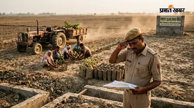लक्ष्य बड़ा, रफ्तार धीमी... पश्चिम चंपारण में पौधरोपण अभियान अभी काफी पीछे