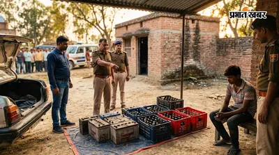सीतामढ़ी के पुनौरा में दो बड़ी कार्रवाई, चोरी की बैटरी बरामद, 230 बोतल शराब के साथ नाबालिग पकड़ा गया
