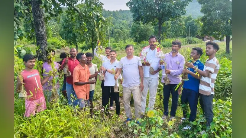 बांस के पौधों के विरोध में उतरे बांदरजलकोचा के ग्रामीण, फलदार वृक्ष लगाने की मांग
