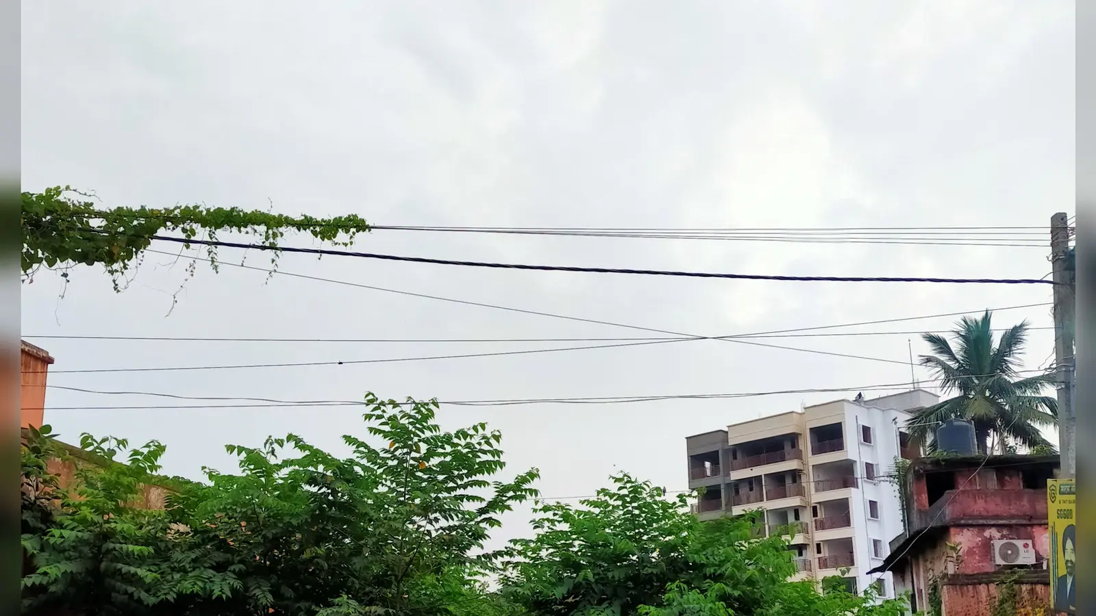 पूर्णिया में सावन में भी 'आग' बरसा रहा आसमान: उमस भरी गर्मी से लोग बेहाल, जानें आज शाम और कल के मौसम का हाल