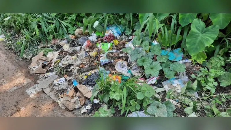 नासरीगंज बाजार में फिर लौटी पॉलिथिन की भरमार, प्रतिबंध के बावजूद खुलेआम इस्तेमाल
