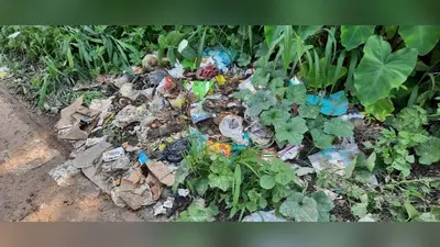 नासरीगंज बाजार में फिर लौटी पॉलिथिन की भरमार, प्रतिबंध के बावजूद खुलेआम इस्तेमाल