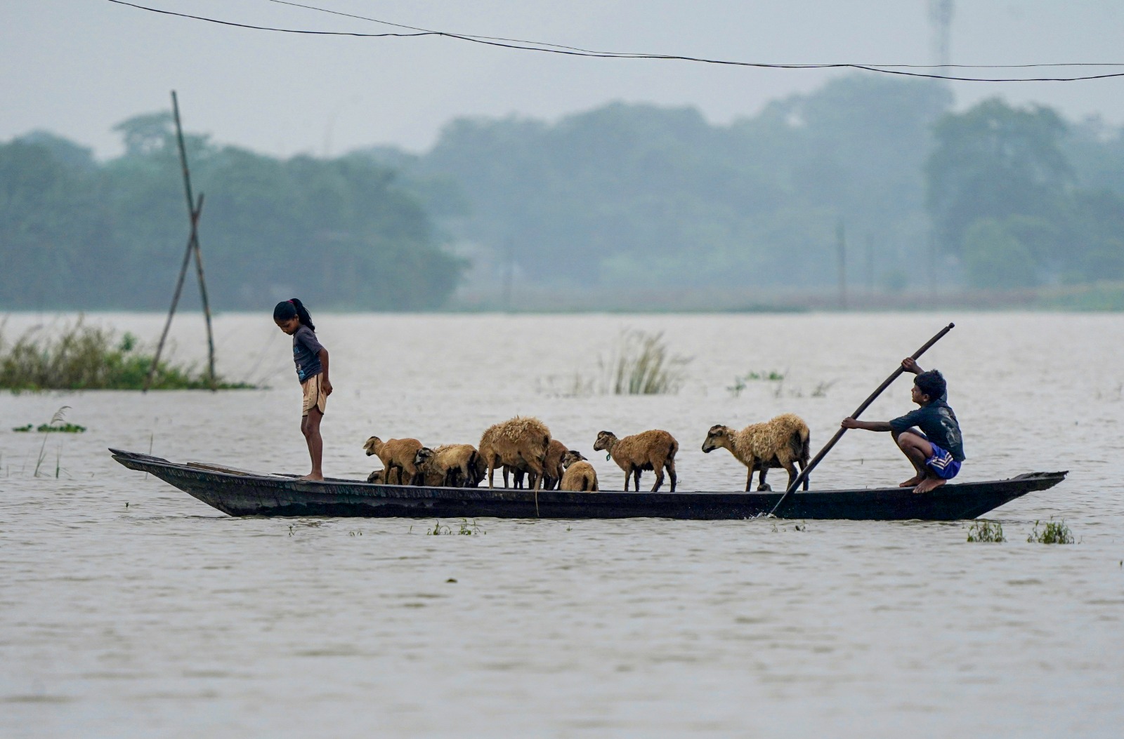 सामान्य होने की उम्मीद