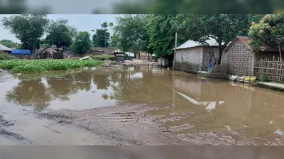 विषहरिया वार्ड 10 का मुख्य चौराहा जलजमाव से बना दलदल, 8500 आबादी बेहाल; नाला निर्माण की मांग