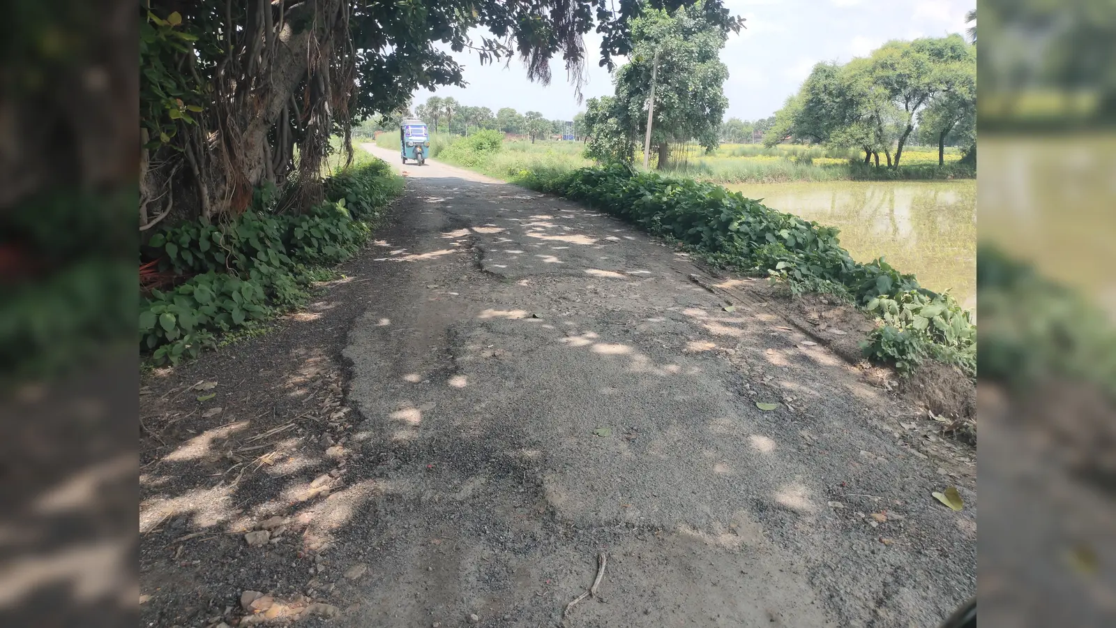 औरंगाबाद : मदनपुर में जर्जर सड़क बनी मुसीबत, खिरियावा पथ से तेतरिया जाने वाले ग्रामीण परेशान
