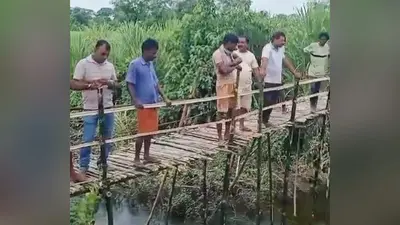 मगरमच्छ के खौफ के बीच ग्रामीणों ने श्रमदान से बनाया 50 फीट लंबा बांस का पुल