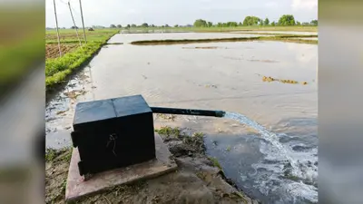 बक्सर में सूखने लगे चापाकल, धान की रोपनी के बीच गहराया जल संकट, किसानों की बढ़ी चिंता