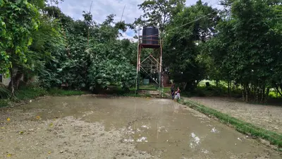 घरों में पानी का संकट, खेतों में बह रहा सरकारी टंकी का पानी... हरिहरपुर से सामने आई तस्वीर