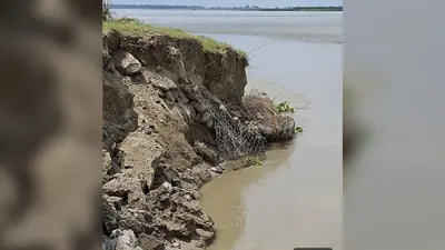 बारूण के पास कोसी का कटाव तेज, एक पखवाड़े से खतरे के साये में ग्रामीण