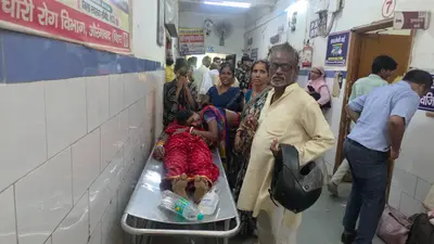 औरंगाबाद : बेड में छिपे जहरीले सांप ने महिला को डसा, इलाज में देरी पड़ी भारी, हुई मौत