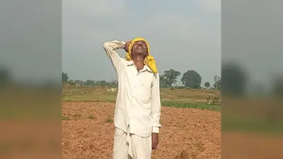 चंदवा: जून और जुलाई में औसत से 50 फीसदी कम बारिश, मायूस हो रहे किसान