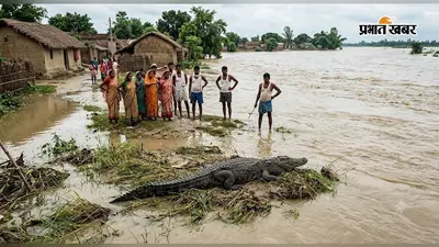 बारसोई में महानंदा नदी में दिखा मगरमच्छ, दहशत में ग्रामीण; प्रशासन ने जारी की चेतावनी