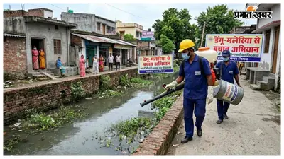 डेंगू-मलेरिया को लेकर दरभंगा नगर निगम अलर्ट, नालों में होगा एंटी लार्वा का छिड़काव