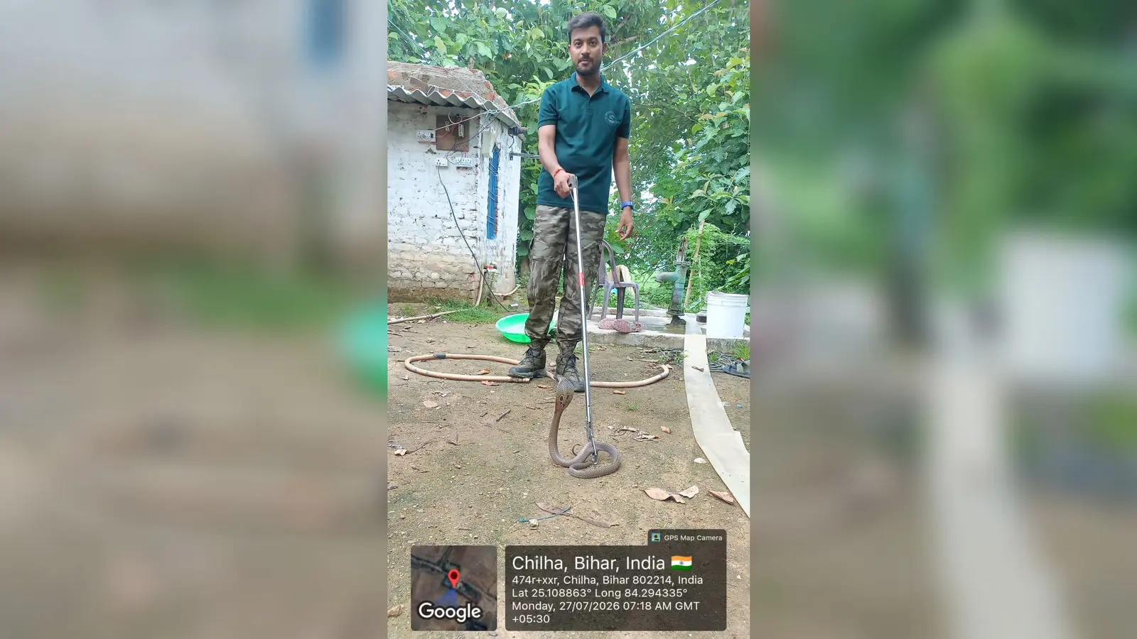 रोहतास: पॉल्ट्री फार्म में निकला जहरीला गेंहूमन, मचा हड़कंप, वन विभाग ने सुरक्षित किया रेस्क्यू