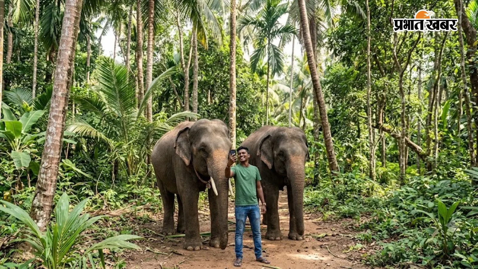 गिरिडीह : हाथियों के पास सेल्फी ले रहा था युवक, भड़के झुंड ने कुचलकर मार डाला