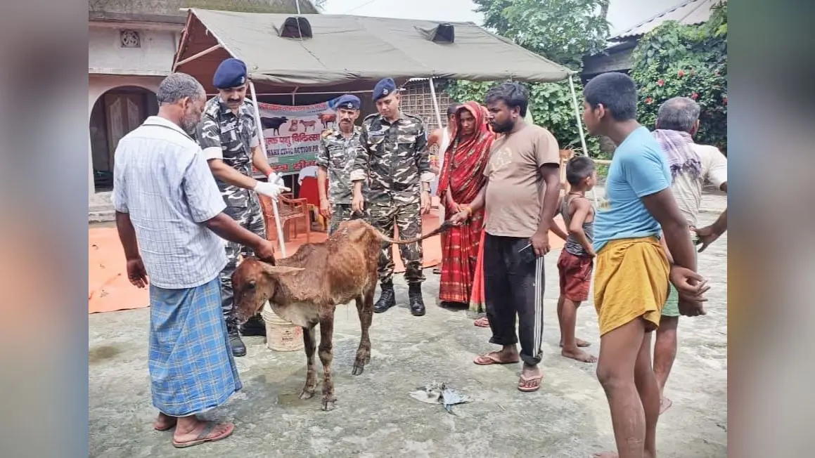 सुपौल के सीमावर्ती गांव में SSB का मुफ्त पशु चिकित्सा शिविर, 263 पशुओं की हुई जांच, पशुपालकों को मिली जरूरी सलाह