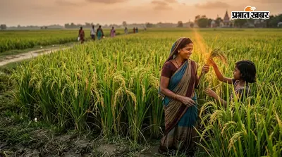 धान की हरियाली से लहलहाई धरती, 80 फीसदी कृषि भूमि पर पूरी हुई रोपाई