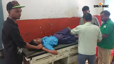अमरपुर के एक स्कूल में घुसा कटखना बंदर, छठी की छात्रा पर किया हमला, गांव में दहशत का माहौल