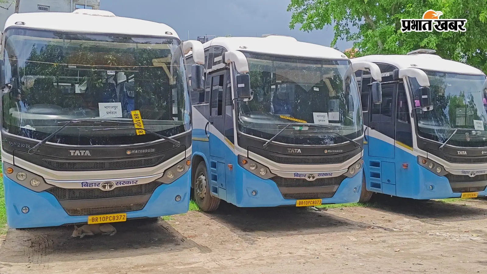 मुंगेर को मिली चार नयी लग्जरी बसों की सौगात, लंबी दूरी के रूटों पर जल्द होगा परिचालन