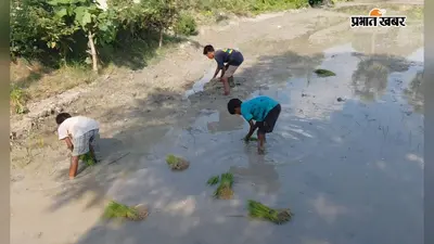 वैशाली: मॉनसून की बेरुखी से जिले में निर्धारित लक्ष्य का मात्र 69 प्रतिशत हुई धान की रोपनी, किसानों की बढ़ी चिंता