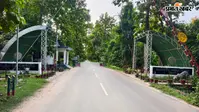 8 बाघों से 60+ तक का सफर! वाल्मीकि टाइगर रिजर्व में बाघों की बढ़ती संख्या ने बढ़ाई उम्मीदें