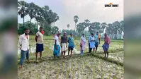 टिकारी में मानसून के दौरान भूमि सर्वेक्षण कार्य स्थगित करने की मांग, धान रोपाई और बारिश से हो रही है दिक्कत