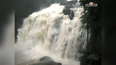 बारिश से झरनों का बढ़ा जलस्तर, बड़ी संख्या में नजारा देखने पहुंच रहे हैं पर्यटक