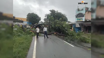 टाटा-पटमदा मुख्य सड़क पर गिरा पेड़, एक घंटे आवागमन बाधित