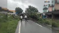 टाटा-पटमदा मुख्य सड़क पर गिरा पेड़, एक घंटे आवागमन बाधित